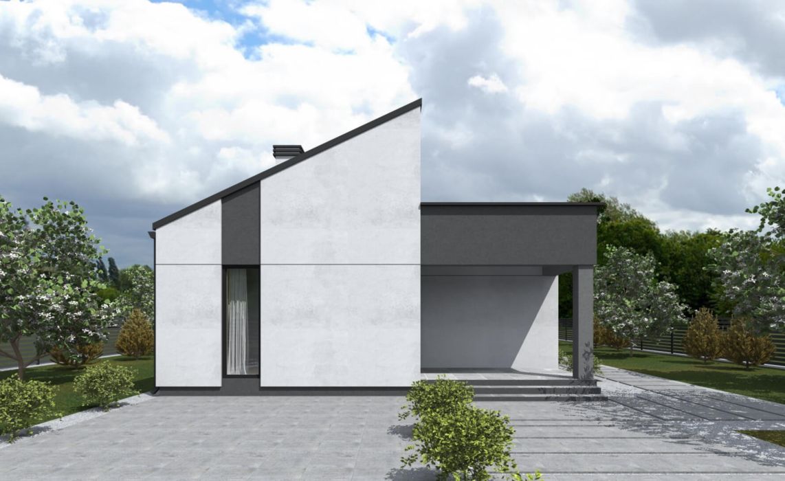 Ноунейм Пазл Хаус 93, крыша комбинированная