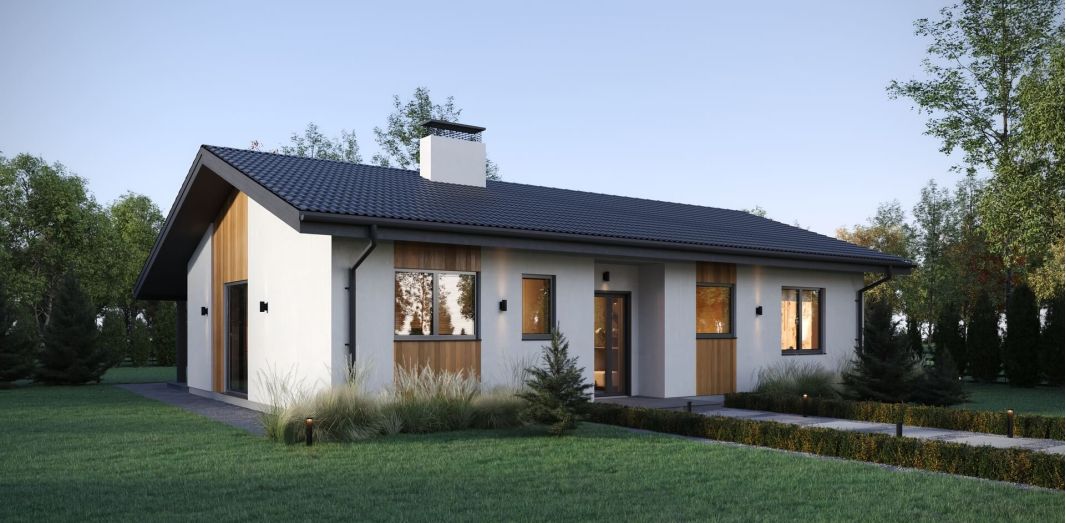 Кухня-гостиная боковая, терраса задняя 100 м²