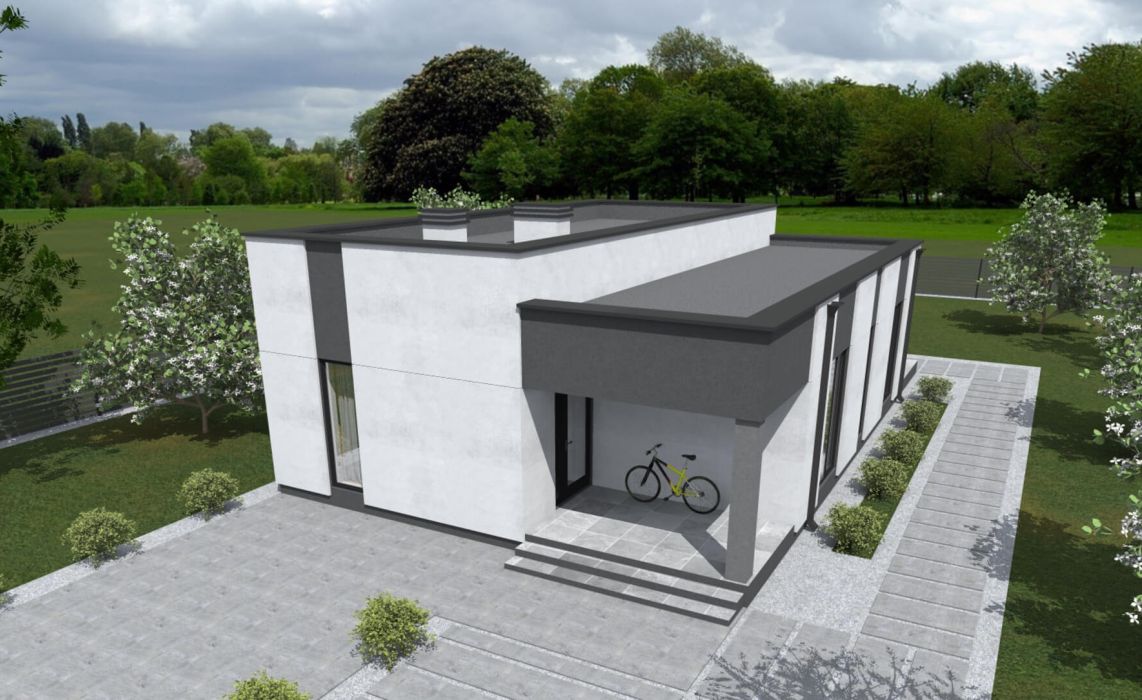 Люмборг ПазлХаус, крыша плоская