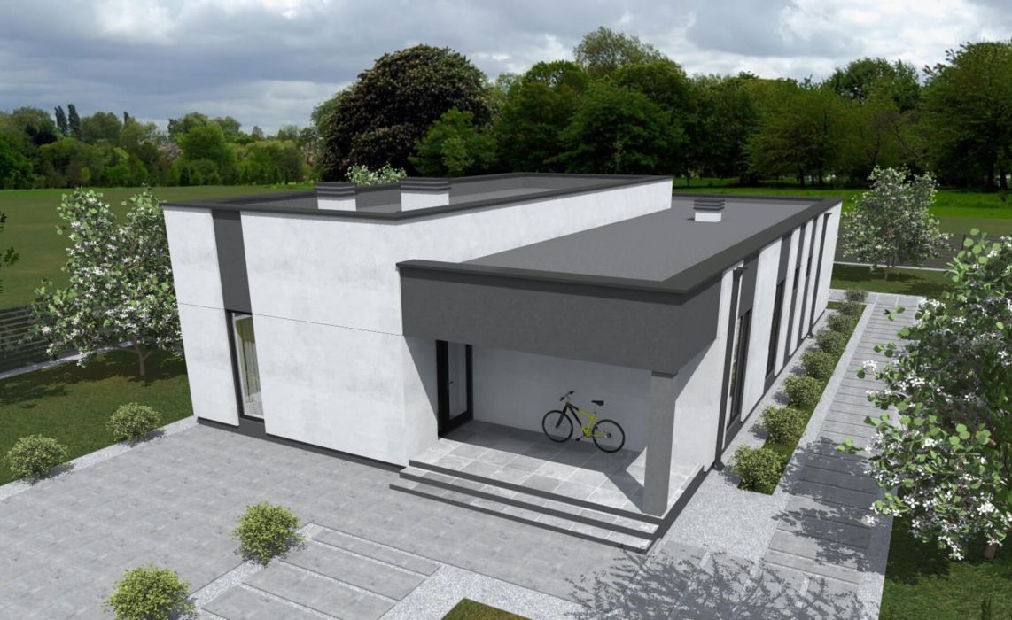 Тидберг ПазлХаус, крыша плоская